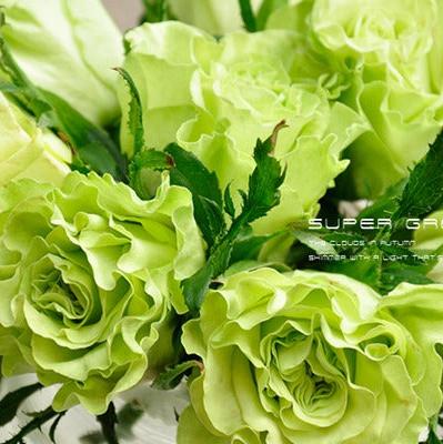 Nirpgreenl 绿舞裙
