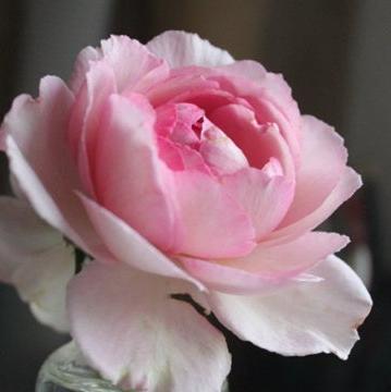 Yves Le Métropole 伊芙繁华都市 (France)