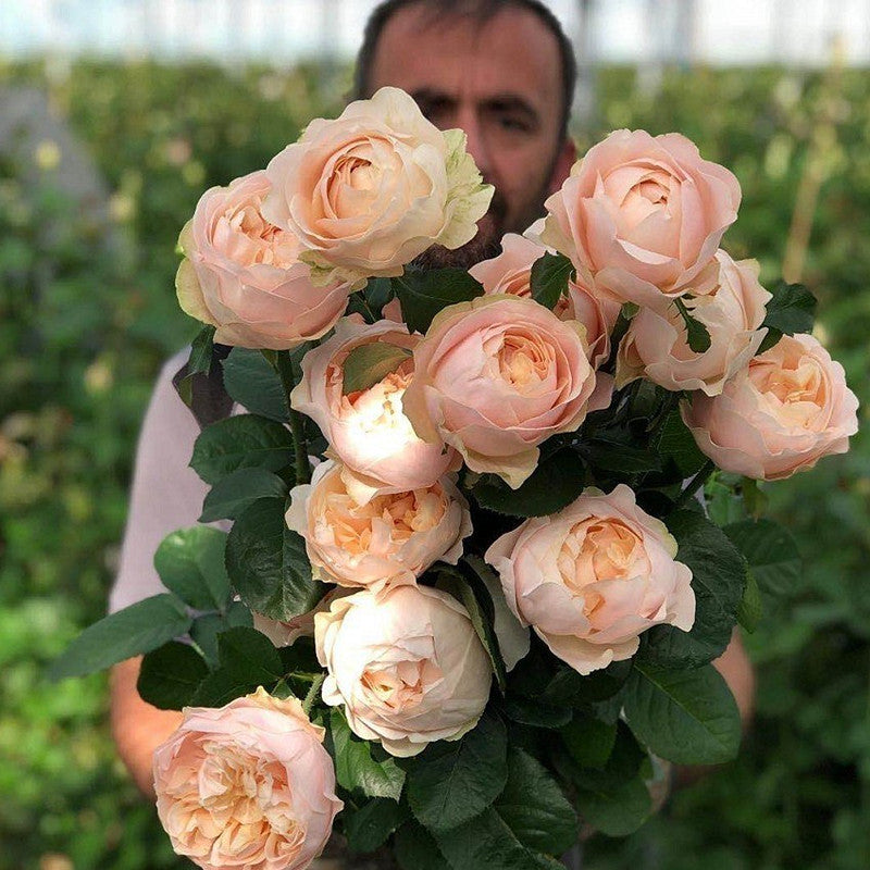 Unforgettable 难忘 (Netherlands)