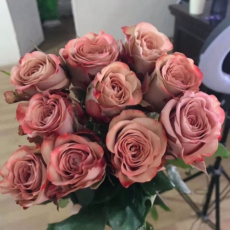 Fragrant Roses – Page 2 – Hillside Rose Farm