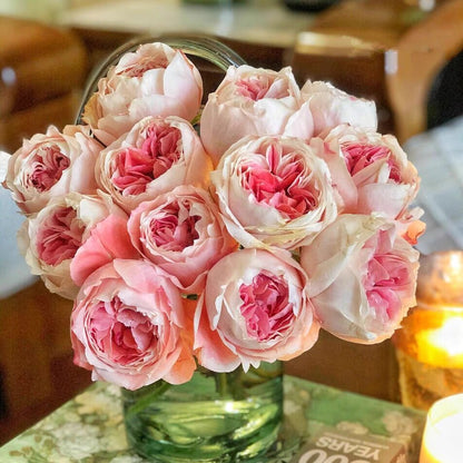 Princess Sakura 樱花公主 (Japan)