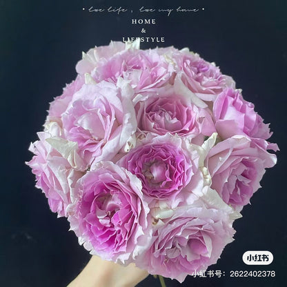 Allure 倾城 (Japan)