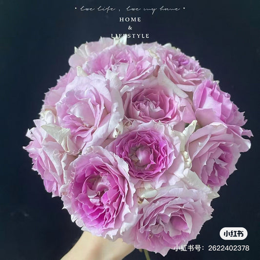 Allure 倾城 (Japan)